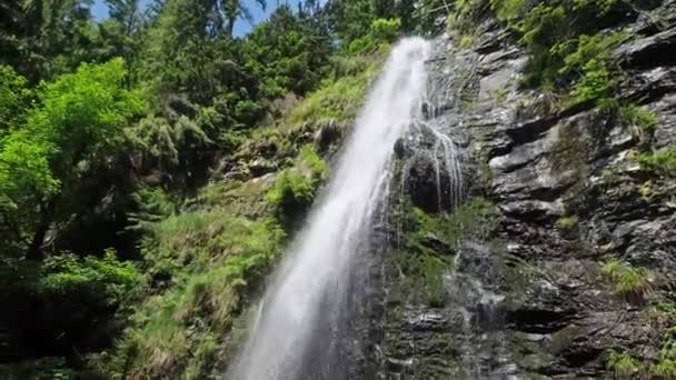 Letni Wodospad Yalyn Najwyższy Karpatach Ukraińskich Piękna Tęcza Strumieniach Wodnych — Wideo stockowe