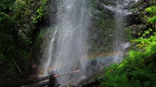 Zomer Yalyn Waterval Hoogste Oekraïense Karpaten Marmaros Prachtige Regenboog Waterstromen — Stockvideo