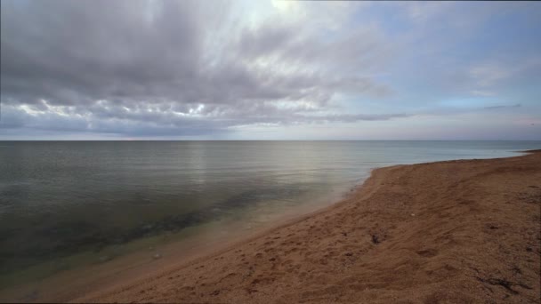 Wschód Słońca Piaszczysta Plaża Morska Meduzami Wodzie Strilkove Wsi Arabat — Wideo stockowe