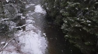 Karpatlar, Prut Nehri, Mykulychyn, Ukrayna 'daki kış ormanı dağ nehrine kar yağışı. Vahşi Dağ Nehri taştan kayalar ve taş akıntılarıyla kanyonda akıyor..