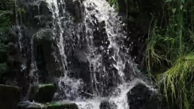 Küçük yaz şelalesi. Kayalık zeminde yumuşak su var..