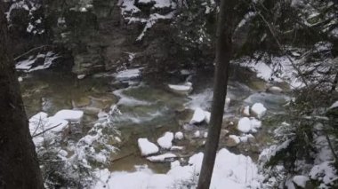 Karpatlar, Prut Nehri, Mykulychyn, Ukrayna 'daki kış ormanı dağ nehrine kar yağışı. Vahşi Dağ Nehri taştan kayalar ve taş akıntılarıyla kanyonda akıyor..