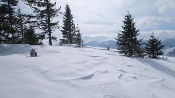 冬天喀尔巴阡山脉上的暴雪刮得很厉害 乔诺罗拉山岭与石油和Hoverla顶部远在乌克兰 从手中禁止录像 一些不均匀的禁止和摇动 — 图库视频影像