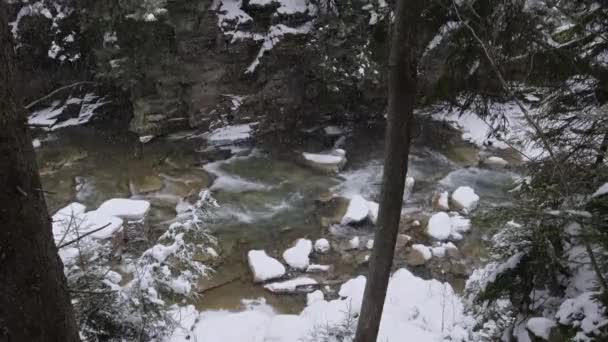 乌克兰米库利琴普鲁特河喀尔巴阡山脉冬季森林山河上的降雪 狂野的山河在峡谷中奔流 伴随着巨石阵和石激流 — 图库视频影像