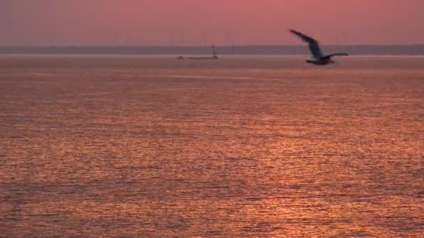 Spokojny Malowniczy Widok Zachód Słońca Nad Zatoką Dniepru Pobliżu Morza — Wideo stockowe