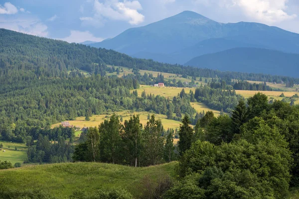 Pittoresque Été Vue Sur Campagne Montagneuse Des Carpates Ukraine — Photo