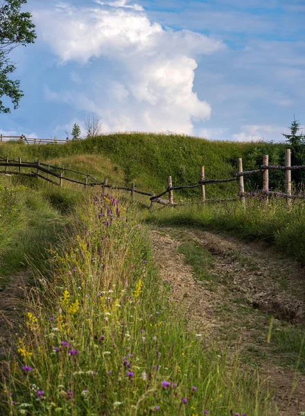 Picturesque Summer Carpathian Mountain Countryside View Ukraine — Stock Photo, Image