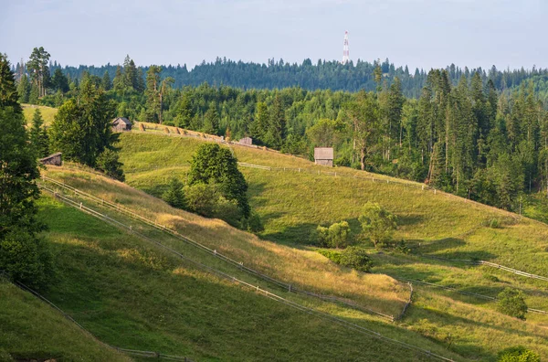 Pittoresque Été Vue Sur Campagne Montagneuse Des Carpates Ukraine — Photo