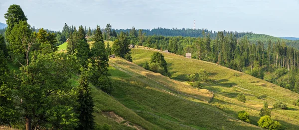 Malerische Sommer Karpaten Bergwelt Blick Ukraine — Stockfoto