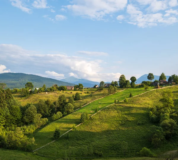 Живописный Летний Вид Горы Карпаты Украина — стоковое фото