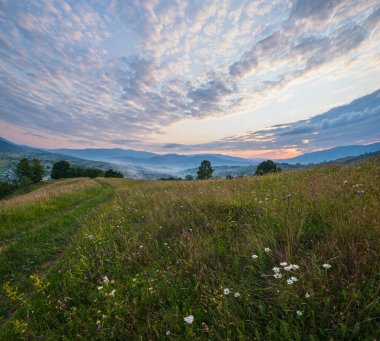 Resimli yaz alacakaranlığı Karpatlar 'ın dağlık kırsal çayırları. Bol bitki örtüsü ve güzel kır çiçekleri..