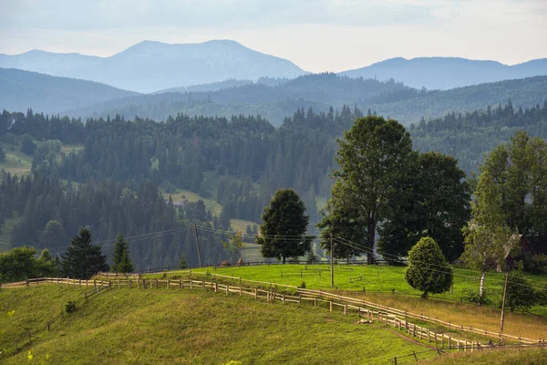 Malerische Sommer Karpaten Bergwelt Blick Ukraine — Stockfoto