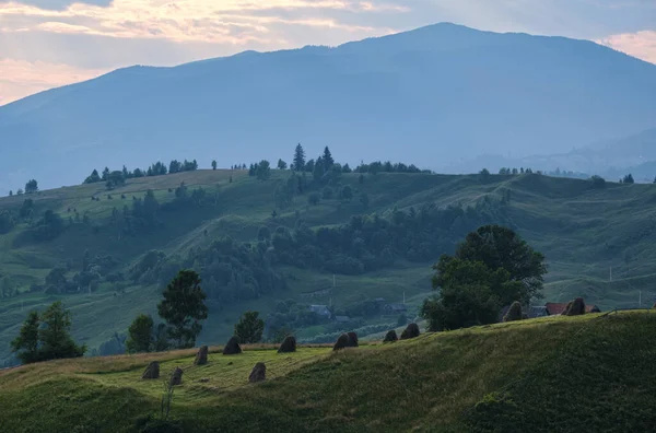 Picturesque Summer Carpathian Mountain Side View Ukraine — стокове фото