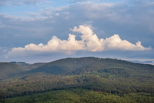 Γραφικό Καλοκαίρι Καρπάθια Θέα Στο Βουνό Δάσος Ουκρανία — Φωτογραφία Αρχείου