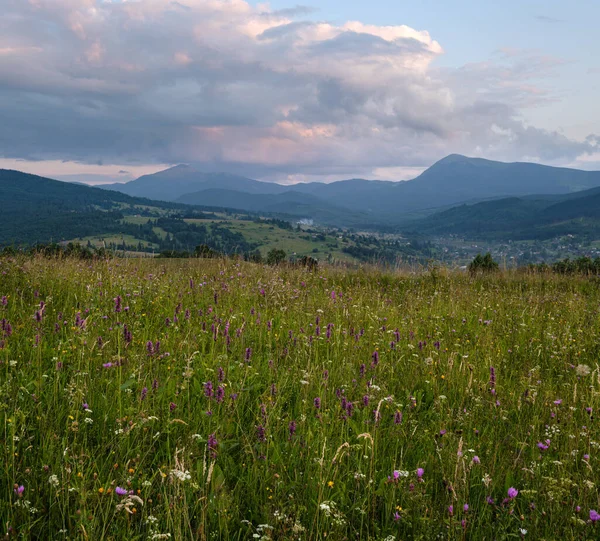 Malebné Letní Soumrak Karpatská Horská Krajina Luk Spousta Vegetace Krásné — Stock fotografie