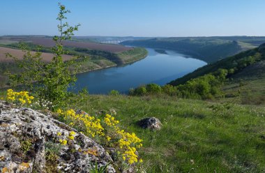 Dnister Nehri Kanyonu 'nun muhteşem bahar manzarası. Resimli kayalar, tarlalar, çiçekler. Shyshkovi Gorby, Nahoriany, Chernivtsi bölgesi, Ukrayna.