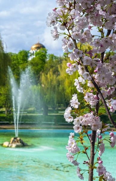 Kamianets Podilskyi Khmelnytsky Region Ukraine Beautiful Spring City Park Blossoming — Stock Photo, Image