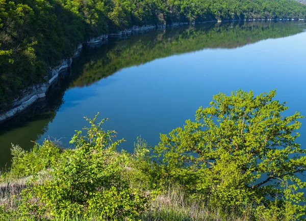 德涅斯特河峡谷上美丽的春景 花朵如画 这个地方叫Shyshkovi Gorby Nahoriany Chernivtsi Region Ukraine — 图库照片