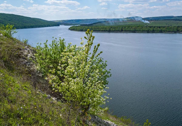 Dnister Nehri Kanyonu, Chernivtsi Bölgesi, Ukrayna.