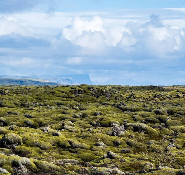 Escénicos Campos Lava Verde Otoñal Cerca Del Cañón Fjadrargljufur Islandia — Foto de Stock