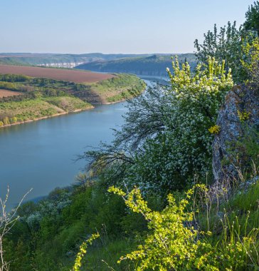 Dnister Nehri Kanyonu 'nun muhteşem bahar manzarası. Resimli kayalar, tarlalar, çiçekler. Shyshkovi Gorby, Nahoriany, Chernivtsi bölgesi, Ukrayna.