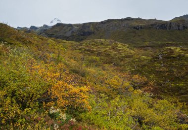 Mulagljufur Canyon İzlanda 'nın güzel sonbahar manzarası. Halka Yolu 'ndan ve Vatnajokull' un güney ucundaki buz örtüsü ve Oraefajokull volkanından çok uzakta değil..