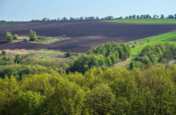 Spring Rural Landscape Fields Farmlands Village Outskirts Flowering Trees Hilly — Stock fotografie