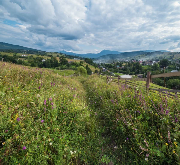 Schilderachtige Zomer Karpaten Bergweiden Overvloed Aan Vegetatie Prachtige Wilde Bloemen — Stockfoto