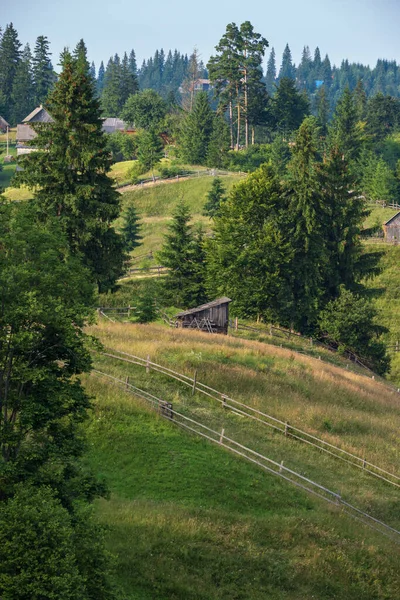 Festői Nyár Kárpátok Hegyvidéki Kilátás Ukrajna — Stock Fotó