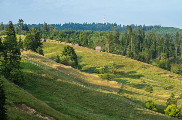絵のような夏カルパティアの山の田園風景 ウクライナ — ストック写真
