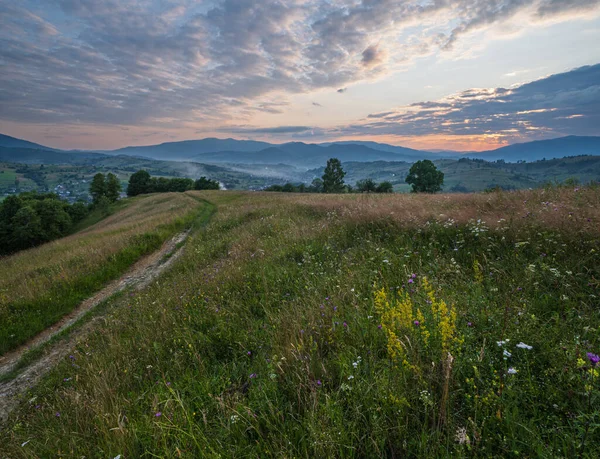 Crepúsculo Verão Pitoresco Prados Campestres Montanha Dos Cárpatos Abundância Vegetação — Fotografia de Stock