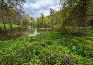 Spring picturesque pond in the former Orlovsky estates park, Maliivtsi, Khmelnytsky region, Ukraine.