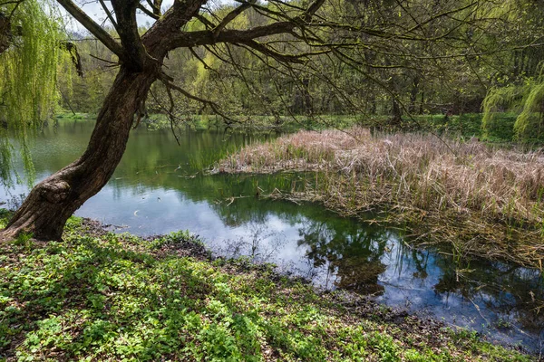 Eski Orlovsky emlak parkında, Maliivtsi, Khmelnytsky bölgesinde, Ukrayna.