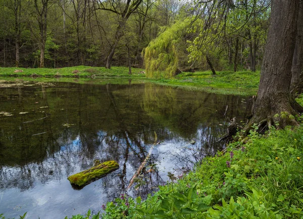 乌克兰赫梅利尼茨基地区Maliivtsi前Orlovsky庄园公园春季风景如画的池塘 — 图库照片