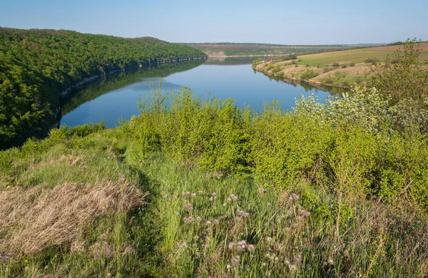 Dnister Nehri Kanyonu 'nun muhteşem bahar manzarası. Resimli kayalar, tarlalar, çiçekler. Shyshkovi Gorby, Nahoriany, Chernivtsi bölgesi, Ukrayna.