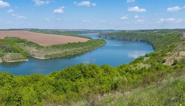 Dnister Nehri Kanyonu 'nun muhteşem bahar manzarası. Resimli kayalar, tarlalar, çiçekler. Shyshkovi Gorby, Nahoriany, Chernivtsi bölgesi, Ukrayna.