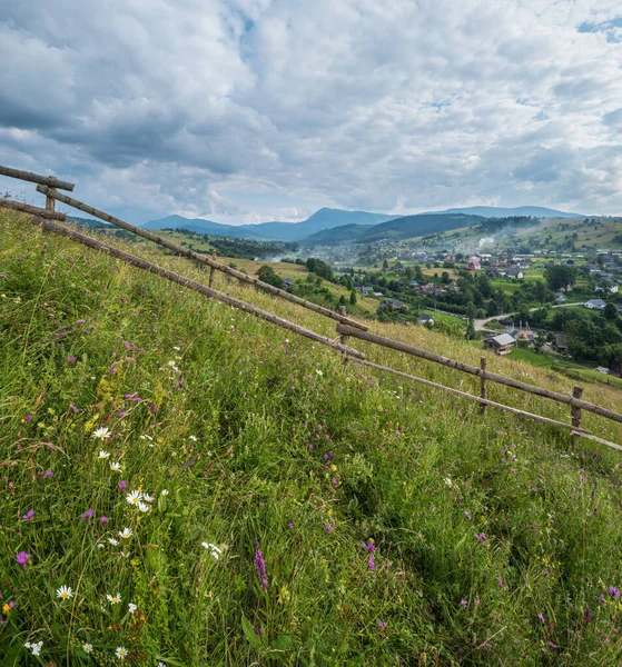 Été Pittoresque Prairies Montagne Des Carpates Abondance Végétation Belles Fleurs — Photo