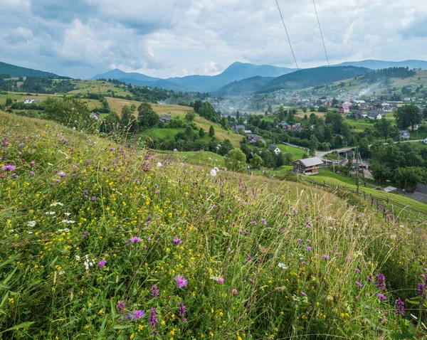Resimli bir yaz Karpatlar 'ın dağlık kırsal otlakları. Bol bitki örtüsü ve güzel kır çiçekleri..