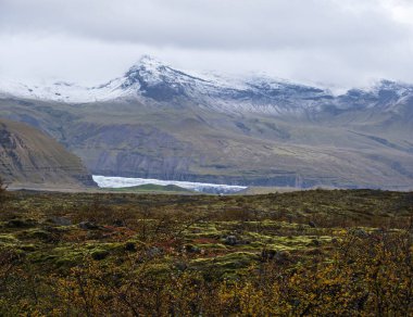 İzlanda sonbahar tundrası Haolkvisl buzulu, İzlanda yakınlarında. Buzul dili, buzul altı Esjufjoll volkanı yakınlarındaki Vatnajokull buzulundan veya Vatna Buzulu 'ndan kayar. İzlanda Çevre Yolu 'na yakın..