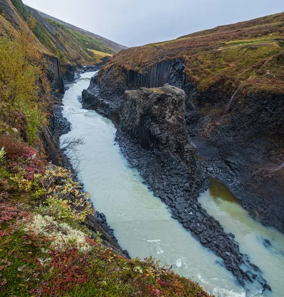 아름다운 스투들라 협곡의 정상은 아이슬란드 쿨달러 골짜기이다 계곡의 현무암 산맥을 — 스톡 사진