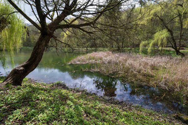 Eski Orlovsky emlak parkında, Maliivtsi, Khmelnytsky bölgesinde, Ukrayna.