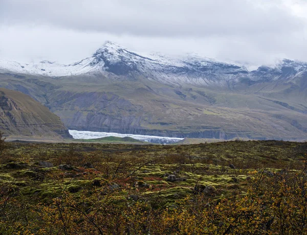İzlanda sonbahar tundrası Haolkvisl buzulu, İzlanda yakınlarında. Buzul dili, buzul altı Esjufjoll volkanı yakınlarındaki Vatnajokull buzulundan veya Vatna Buzulu 'ndan kayar. İzlanda Çevre Yolu 'na yakın..