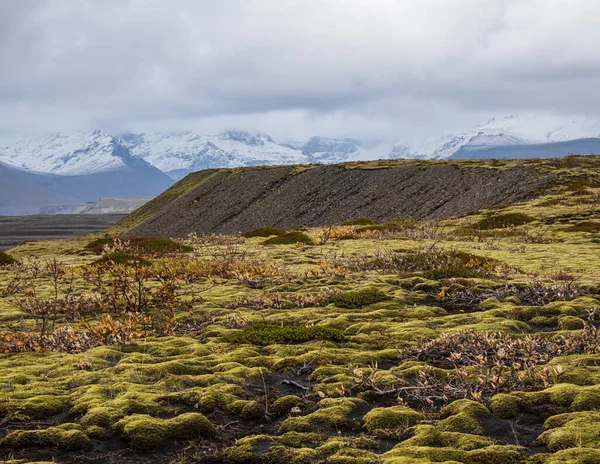 アイスランドHaoldukvisl氷河の近くのアイスランドの秋のツンドラの風景 Vatnajokull氷河からの氷河舌のスライドや氷河下Esjufjoll火山の近くのVatna氷河 アイスランドから遠くないリングロード — ストック写真