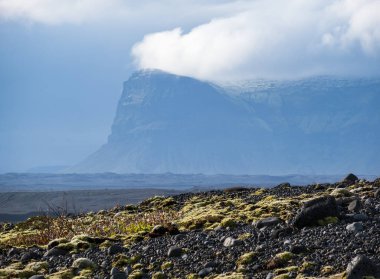 Iceland autumn tundra landscape near Haoldukvisl glacier, Iceland. Glacier tongue slides from the Vatnajokull icecap or Vatna Glacier near subglacial Esjufjoll volcano. Not far from Iceland Ring Road.