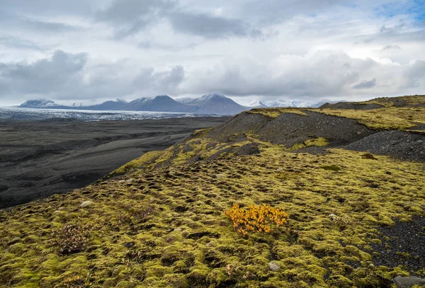 Krajobraz Jesiennej Tundry Islandii Pobliżu Lodowca Haoldukvisl Islandia Język Lodowca — Zdjęcie stockowe