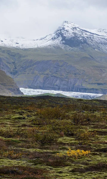 İzlanda sonbahar tundrası Haolkvisl buzulu, İzlanda yakınlarında. Buzul dili, buzul altı Esjufjoll volkanı yakınlarındaki Vatnajokull buzulundan veya Vatna Buzulu 'ndan kayar. İzlanda Çevre Yolu 'na yakın..