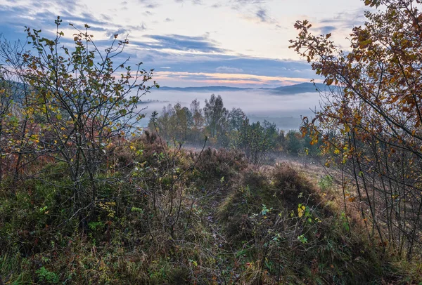 아침의 안개가 평화롭고 아름다운 시골의아름다움 펼쳐지는 곳이다 우크라이나 카르파티아 — 스톡 사진