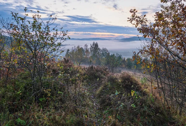 Nuvoloso Nebbioso Mattina Presto Scena Prato Autunnale Tranquillo Pittoresco Viaggio — Foto Stock