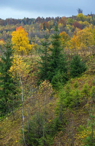 Bewolkt Mistig Herfstweide Vreedzaam Pittoresk Reizen Seizoensgebonden Natuur Landelijke Beauty — Stockfoto