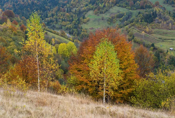 Molnigt Och Hazzy Dag Höst Berg Scen Fridfull Pittoresk Resa — Stockfoto